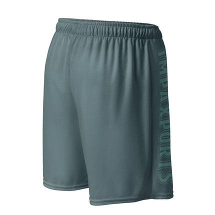 Mesh Basketball Shorts